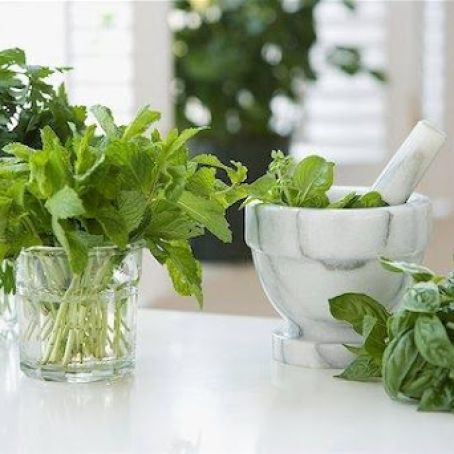 HERBS*****Storing Fresh Herbs